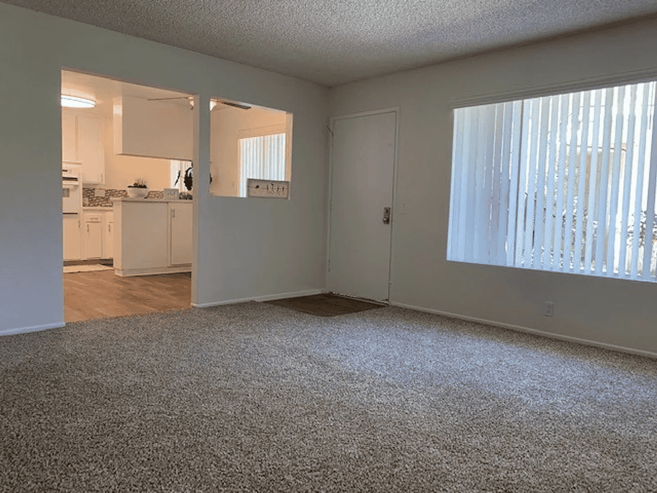 bright living room with plush carpeting