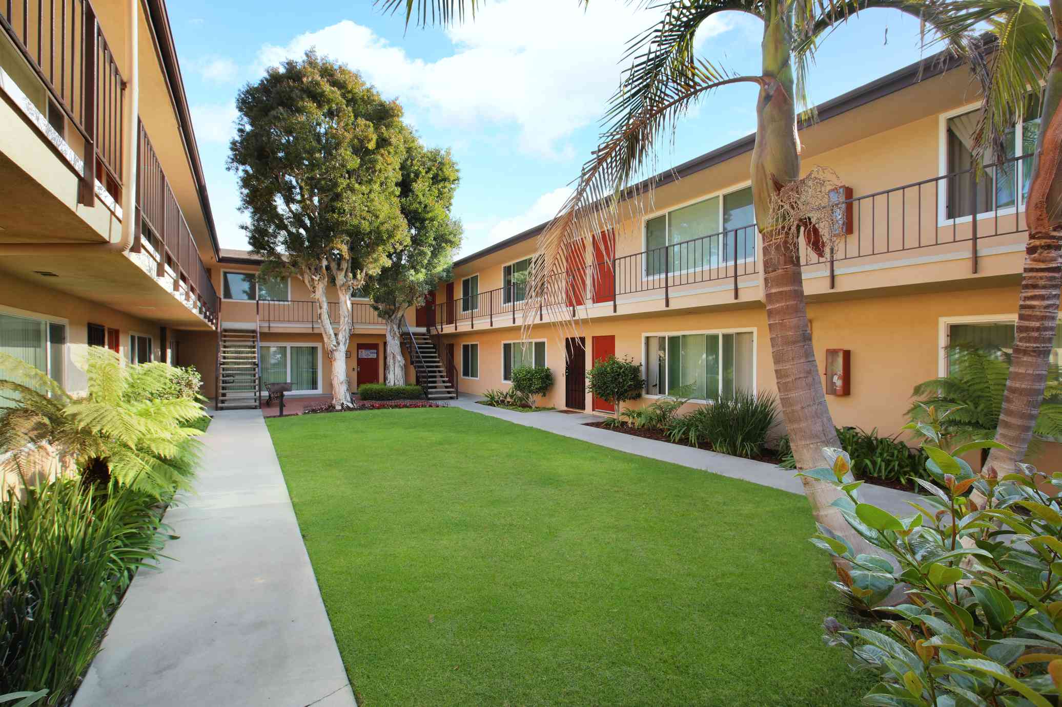 resident courtyard with birch trees and walkways