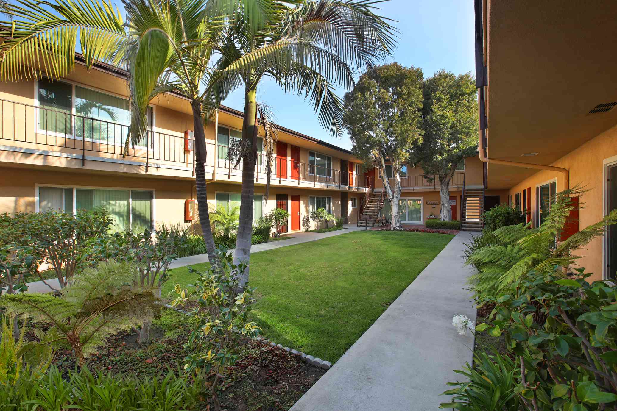 garden style courtyard with tropical palm trees