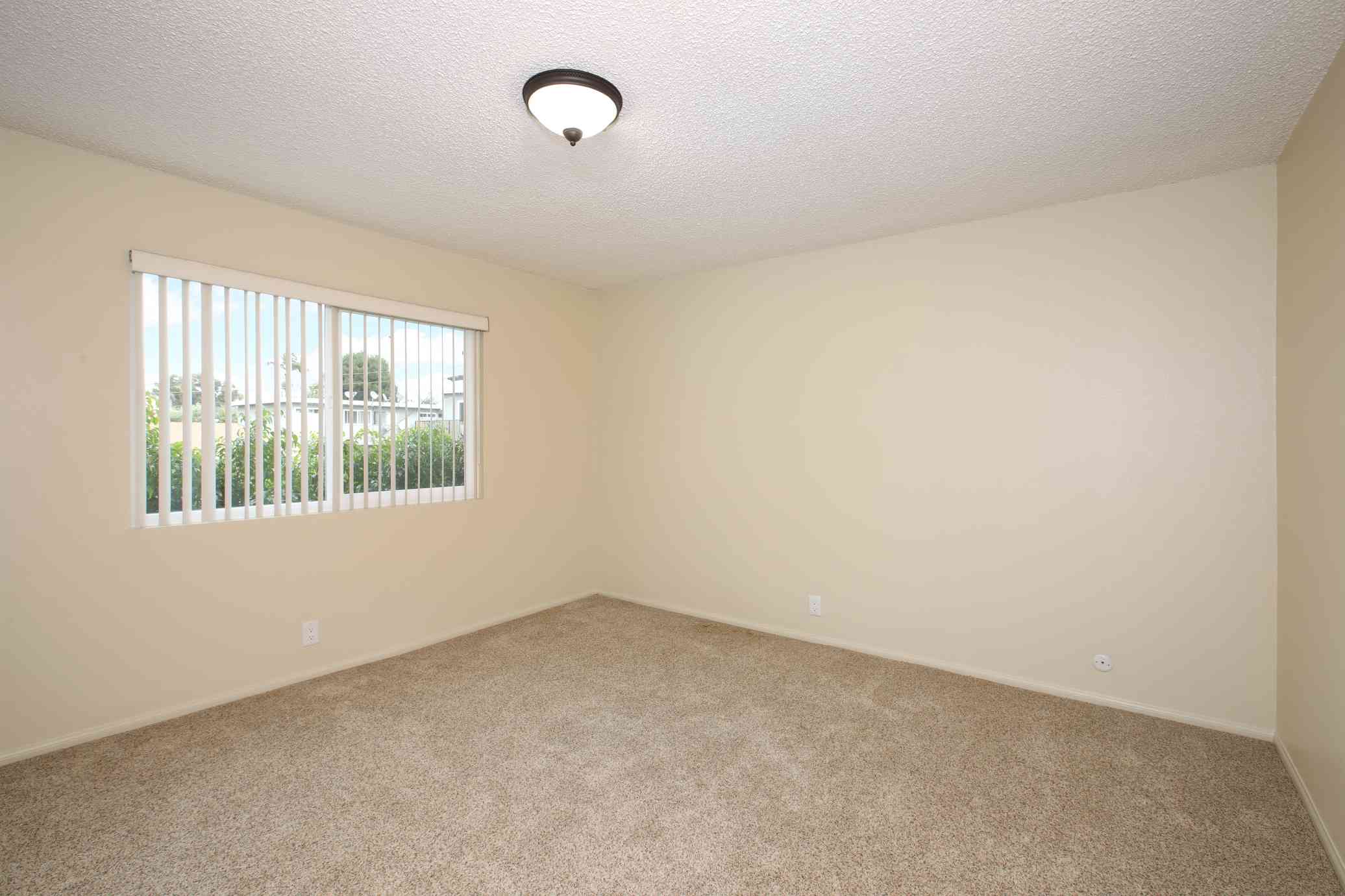 spacious bedroom with plush carpeting and natural light